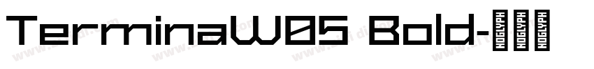 TerminaW05 Bold字体转换